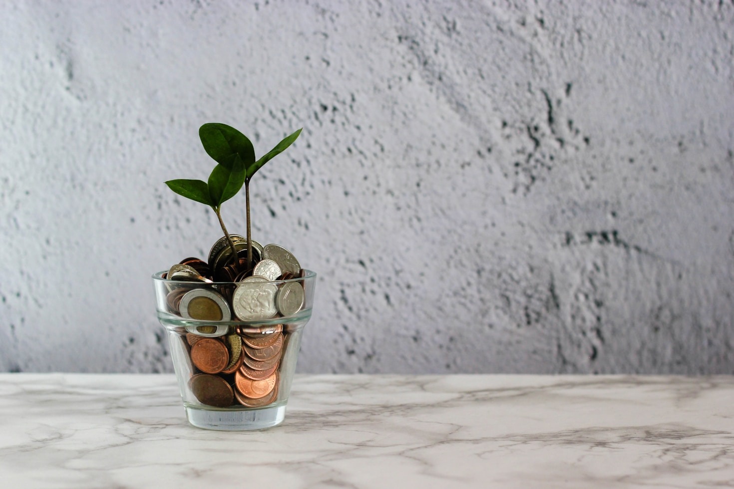 The Role of Clarity in Financial Transformations
